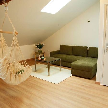 Appartement De Charme A נאנסי מראה חיצוני תמונה