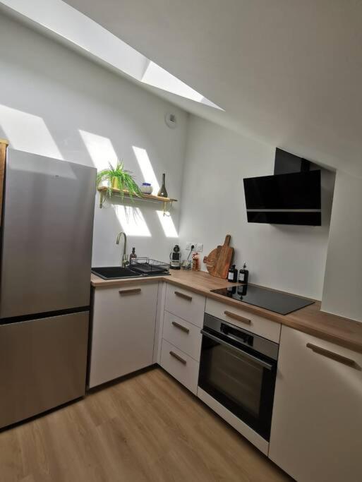 Appartement De Charme A נאנסי מראה חיצוני תמונה