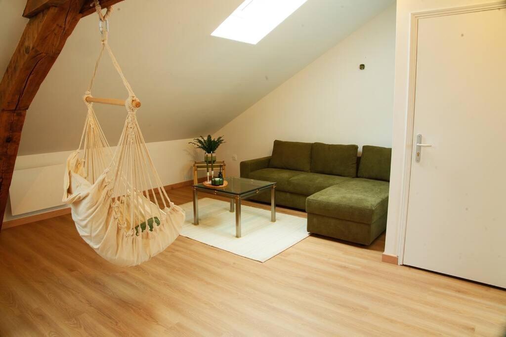 Appartement De Charme A נאנסי מראה חיצוני תמונה