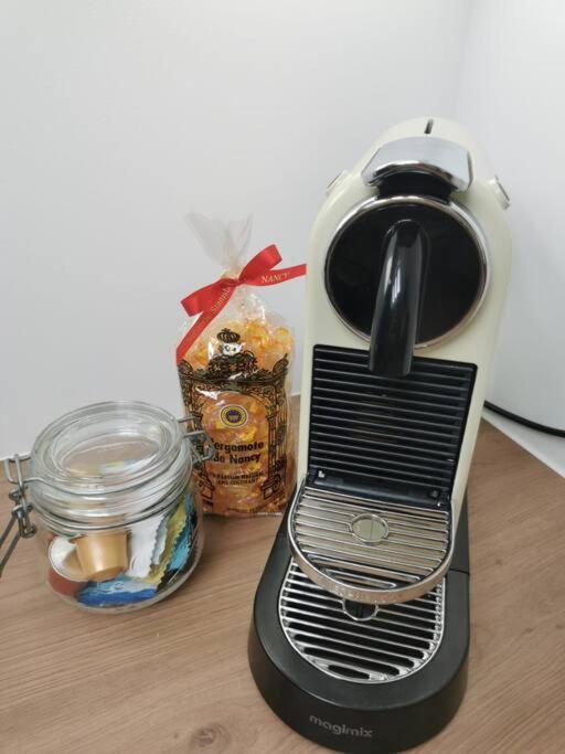 Appartement De Charme A נאנסי מראה חיצוני תמונה