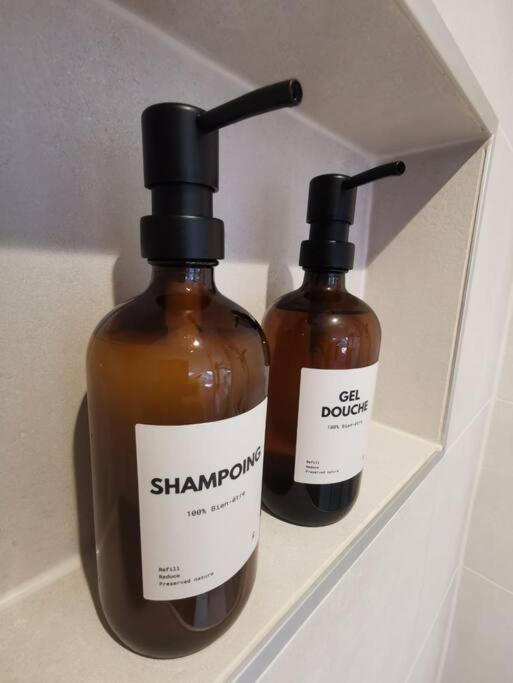 Appartement De Charme A נאנסי מראה חיצוני תמונה