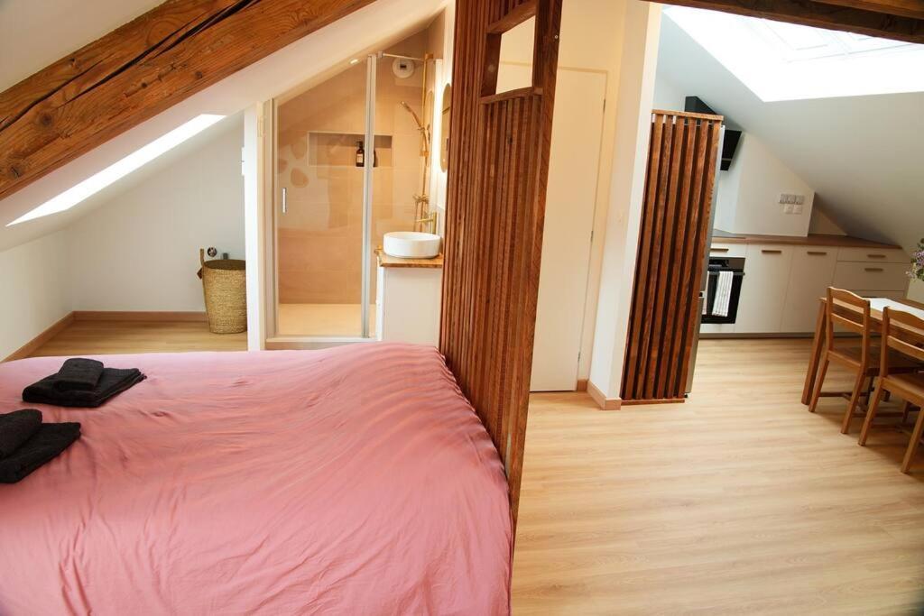 Appartement De Charme A נאנסי מראה חיצוני תמונה