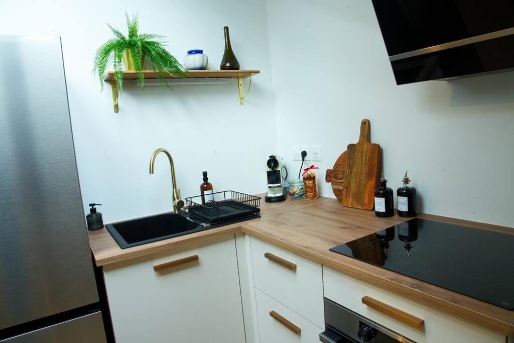 Appartement De Charme A נאנסי מראה חיצוני תמונה