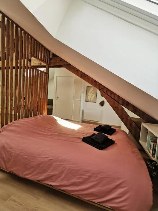 Appartement De Charme A נאנסי מראה חיצוני תמונה