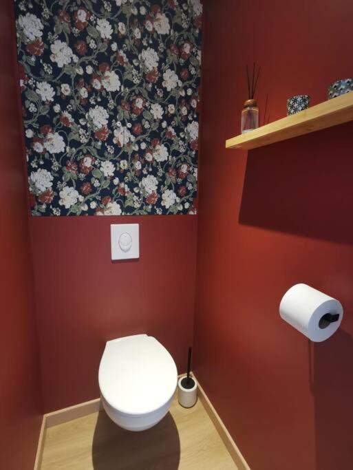 Appartement De Charme A נאנסי מראה חיצוני תמונה